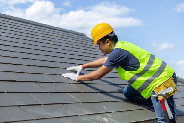 Best Roof Gutter Cleaning  in Kemp, TX