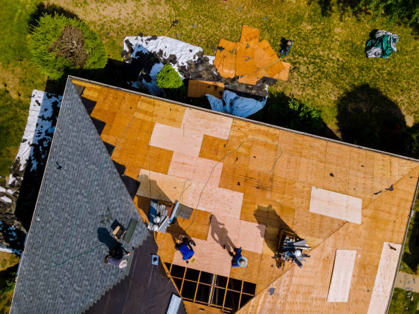 Best Storm Damage Roof Repair  in Kemp, TX